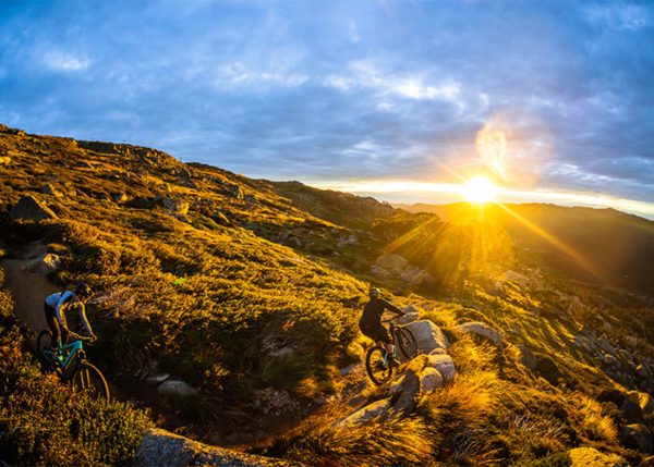All You Need to Know About Thredbo Mountain Biking
