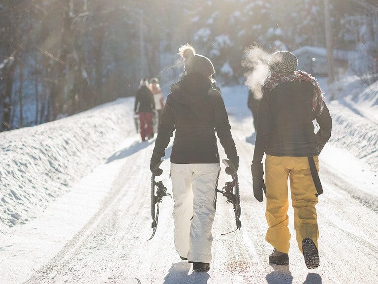 pair-of-cross-country-skiers-walking